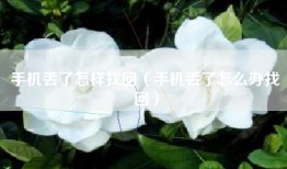 手机丢了怎样找回（手机丢了怎么办找回）