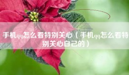 手机qq怎么看特别关心（手机qq怎么看特别关心自己的）