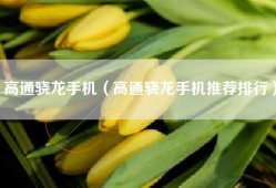 高通骁龙手机（高通骁龙手机推荐排行）
