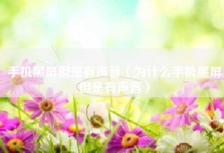 手机黑屏但是有声音（为什么手机黑屏但是有声音）