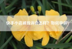 快手小店被投诉会怎样？如何申诉