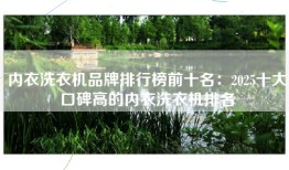 内衣洗衣机品牌排行榜前十名：2025十大口碑高的内衣洗衣机排名