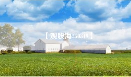 【观股海250319】
