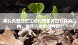 寻找免费网页在线代理服务器软件的指南，哪些选项值得考虑？