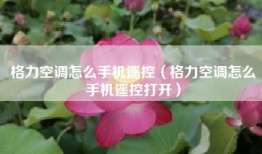格力空调怎么手机遥控（格力空调怎么手机遥控打开）