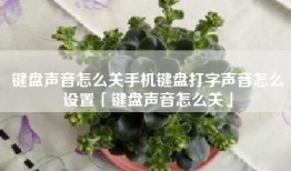 键盘声音怎么关手机键盘打字声音怎么设置「键盘声音怎么关」