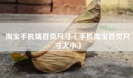 淘宝手机端首页尺寸（手机淘宝首页尺寸大小）