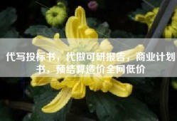 代写投标书，代做可研报告，商业计划书，预结算造价全网低价