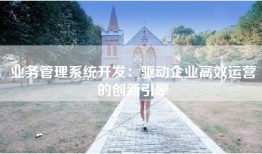 业务管理系统开发：驱动企业高效运营的创新引擎