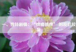 一、独特剧情：“螳螂捕蝉” 的反扒较量