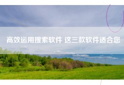 高效运用搜索软件 这三款软件适合您