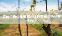 竞价广告优化策略：让你事半功倍的营销方法