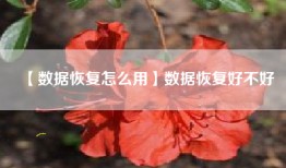 【数据恢复怎么用】数据恢复好不好