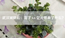 武汉城轨云：花了 6.6 亿元带来了什么？