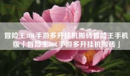冒险王3OL手游多开挂机搬砖冒险王手机版「冒险王3OL手游多开挂机搬砖」