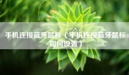 手机连接蓝牙鼠标（手机连接蓝牙鼠标如何设置）