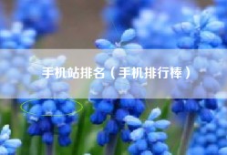 手机站排名（手机排行棒）
