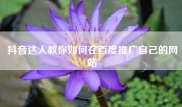 抖音达人教你如何在百度推广自己的网站
