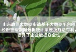 山东政信大数据申请基于大数据平台的经济管理数据分析统计系统及方法专利，提升了企业数据安全性