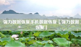 强力数据恢复手机数据恢复「强力数据恢复」