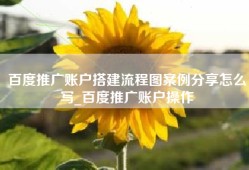百度推广账户搭建流程图案例分享怎么写_百度推广账户操作