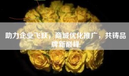 助力企业飞跃，商城优化推广，共铸品牌新巅峰