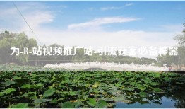 为-B-站视频推广站-引流获客必备神器