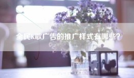 全民K歌广告的推广样式有哪些？