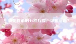 裂变营销的五种方式，你知道吗？