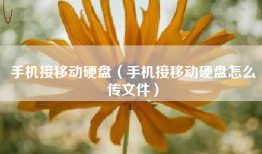 手机接移动硬盘（手机接移动硬盘怎么传文件）
