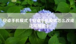 安卓手机模式（安卓手机模式怎么改成正常模式）