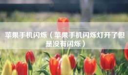 苹果手机闪烁（苹果手机闪烁灯开了但是没有闪烁）