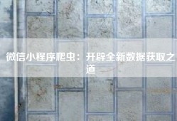 微信小程序爬虫：开辟全新数据获取之道