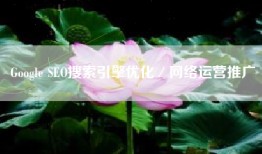 Google SEO搜索引擎优化／网络运营推广