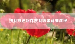 搜狗推送软件搜狗收录详细教程