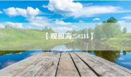 【观股海250314】