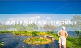黑莓手机被锁（黑莓手机锁屏壁纸）