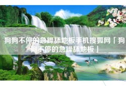 狗狗不停的急躁舔地板手机搜狐网「狗狗不停的急躁舔地板」