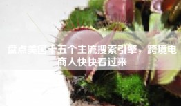 盘点美国十五个主流搜索引擎，跨境电商人快快看过来