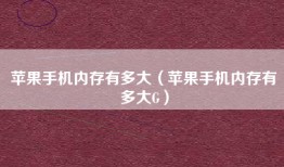 苹果手机内存有多大（苹果手机内存有多大G）