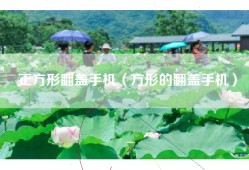正方形翻盖手机（方形的翻盖手机）