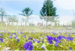 十大券商佣金一览，开户哪个券商好