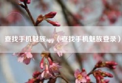 查找手机魅族app（查找手机魅族登录）