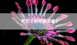 老式（老式德国音）