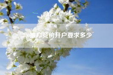 360推广竞价开户要求多少 360推广竞价开户要求多少