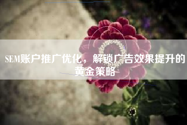 SEM账户推广优化，解锁广告效果提升的黄金策略