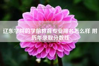 辽东学院的学前教育专业排名怎么样 附历年录取分数线 辽东学院的学前教育专业排名怎么样 附历年录取分数线