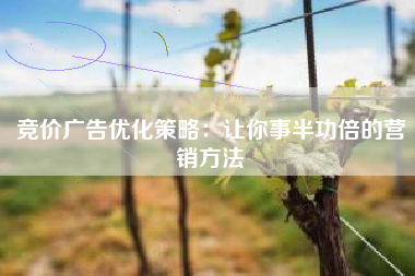 竞价广告优化策略：让你事半功倍的营销方法