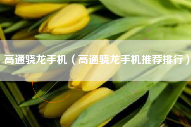 高通骁龙手机（高通骁龙手机推荐排行）