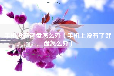 手机没有键盘怎么办（手机上没有了键盘怎么办）